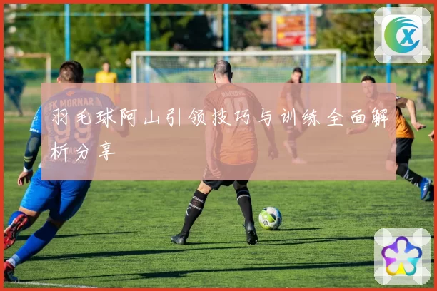 羽毛球阿山引领技巧与训练全面解析分享