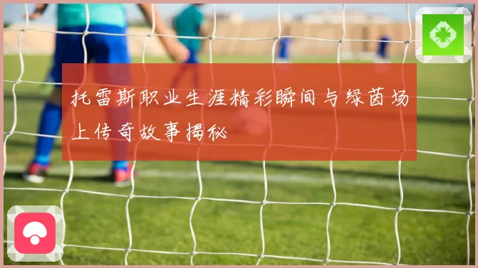 托雷斯职业生涯精彩瞬间与绿茵场上传奇故事揭秘