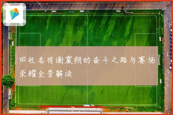 田径名将谢震朔的奋斗之路与赛场荣耀全景解读