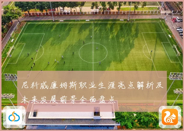 尼科威廉姆斯职业生涯亮点解析及未来发展前景全面盘点