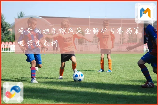 塔奇纳迪足球风采全解析与赛场策略深度剖析