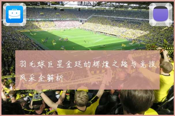 羽毛球巨星金廷的辉煌之路与竞技风采全解析